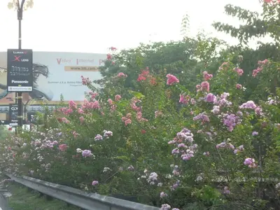 image-3409686993.webp