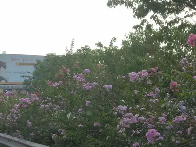 image-4020350245.webp