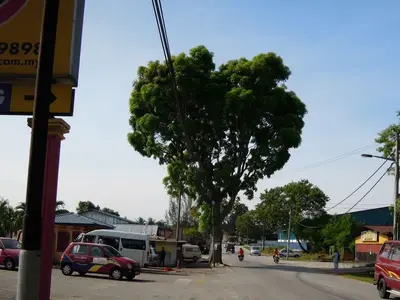 image-3905732187.webp