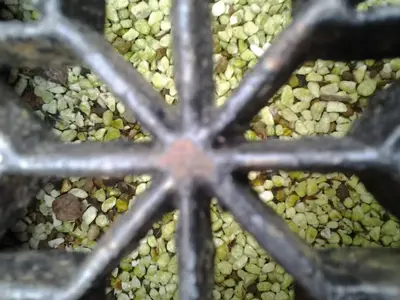 image-2185659515.webp