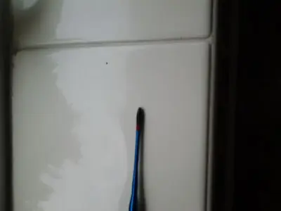 image-1583614487.webp
