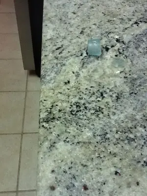 image-2908587246.webp