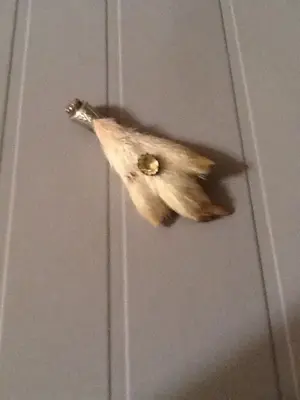 image-2412190175.webp