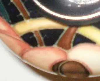 image-557992012.webp