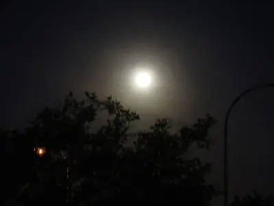 image-1059244379.webp