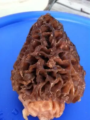 photo 3.webp