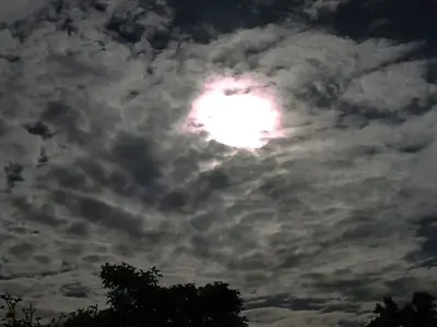 image-3561610558.webp