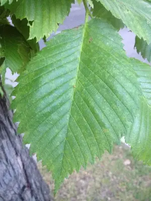 image-1014771505.webp