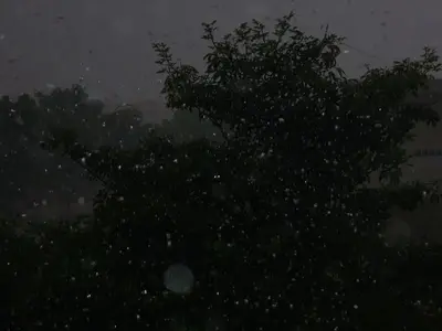 image-1161765166.webp