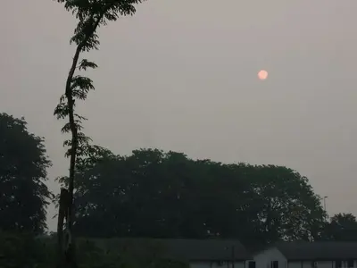 image-3217971570.webp