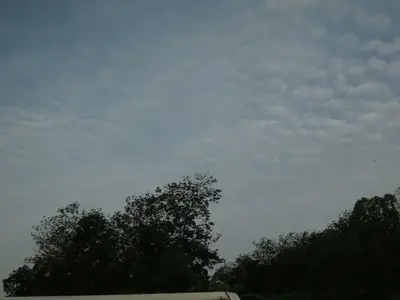 image-1656694392.webp