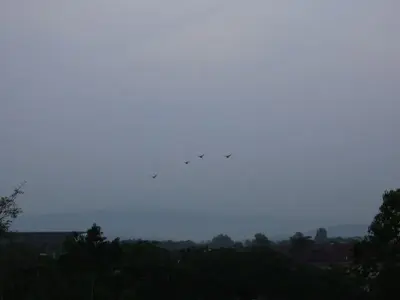 image-1144716687.webp