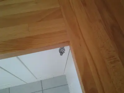 image-3569418139.webp