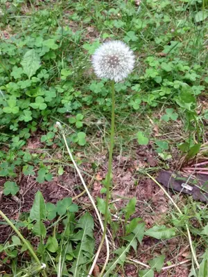 image-1437774188.webp