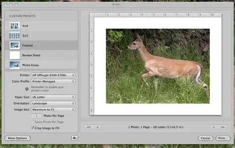 AperturePrintDialog.webp