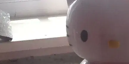 image-1870162736.webp
