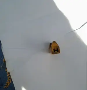 image-3517626289.webp