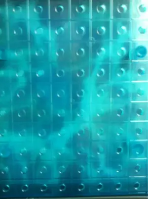image-313481596.webp