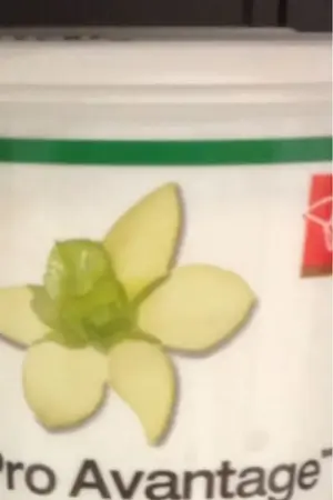 image-2496027773.webp