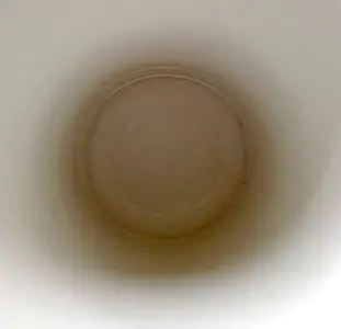 image-3556641089.webp