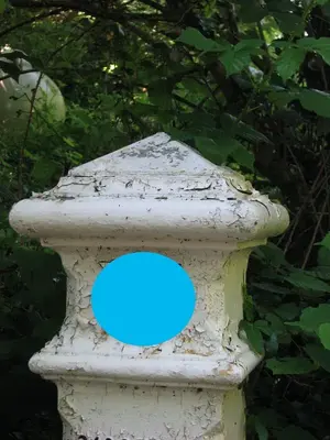 image-3100390873.webp