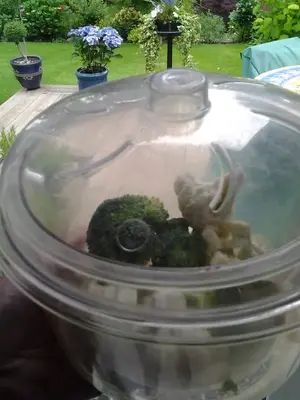 image-4175851872.webp
