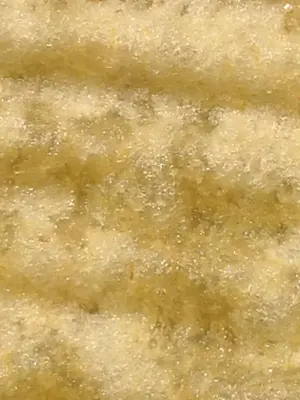 image-1131474866.webp