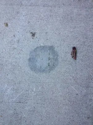 image-623540038.webp
