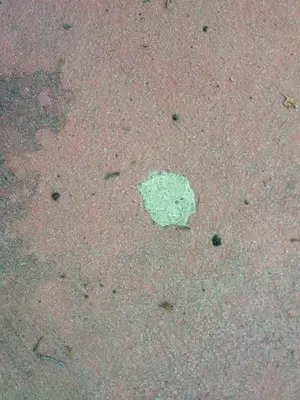 image-3652633420.webp