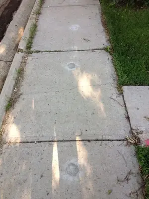 image-2886789409.webp