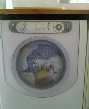 image-1386615346.webp