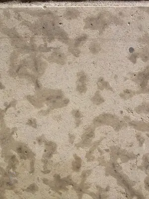 image-2649967704.webp