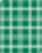 image-3404709964.webp