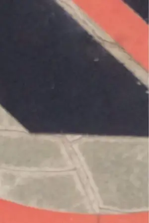 image-2724888057.webp