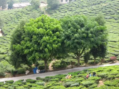 image-1931341060.webp