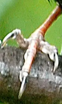 image-794371890.webp