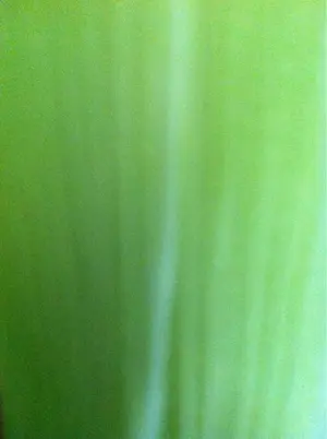 image-47660863.webp