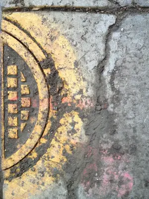 image-1077685895.webp