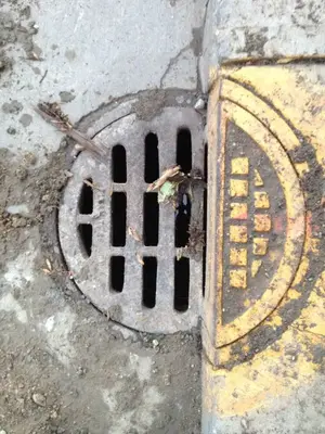 image-877788997.webp