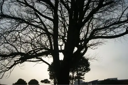 image-1904610752.webp
