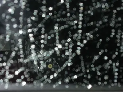 image-4196362981.webp