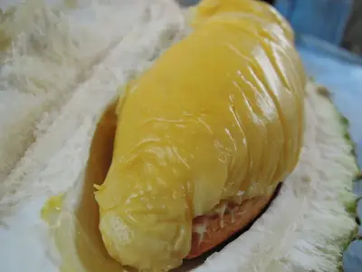 image-4082761982.webp