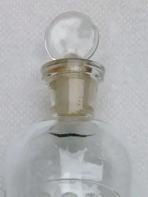 image-3637016677.webp