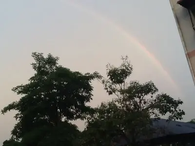 image-1669362821.webp