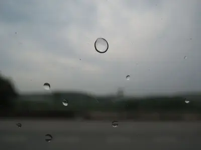 image-3980769313.webp