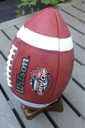 image-4220994403.webp