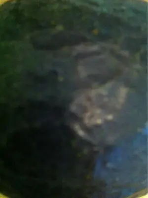image-3774184014.webp