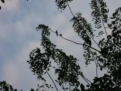 image-348355690.webp