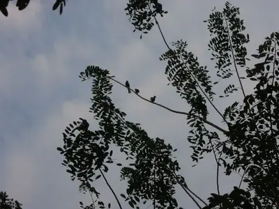 image-703575647.webp