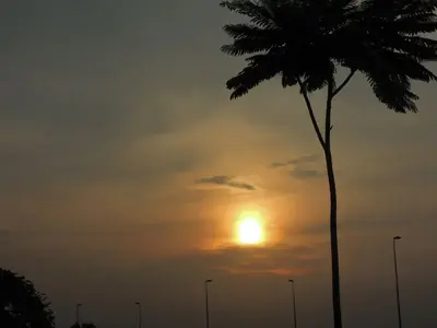 image-3476297979.webp